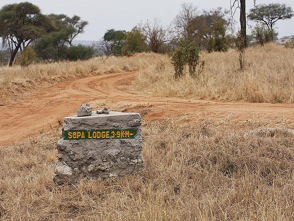 Tarangire Sopa Lodge - Road 